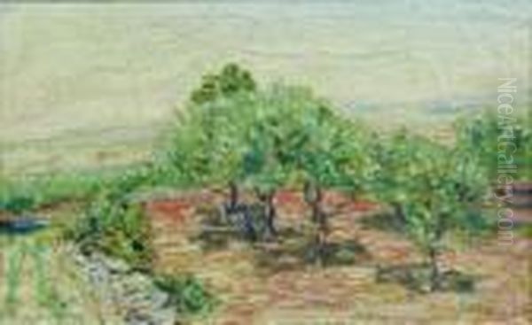 Champ D'oliviers. Oil Painting by Rene Seyssaud