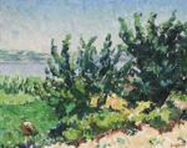 Paysage De Bord De Mer Oil Painting by Rene Seyssaud