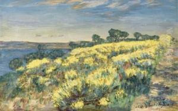 Joncs Au Bord D'un Etang Pres De Marseille Oil Painting by Rene Seyssaud