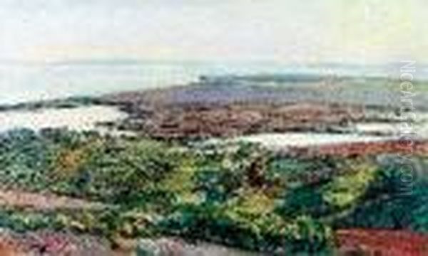 Champ Fleuri A St-chamas Oil Painting by Rene Seyssaud