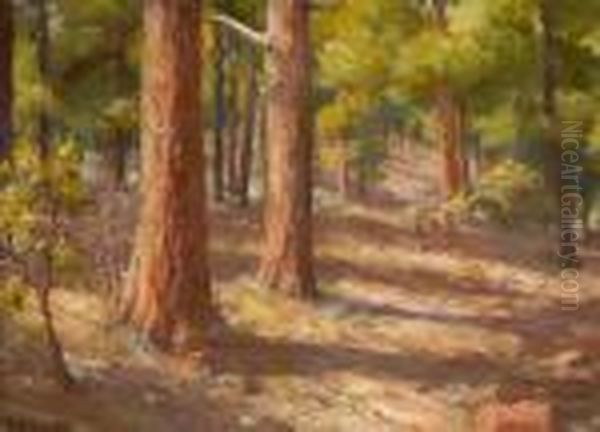 The Cococino Forest Pines Oil Painting by Joseph Henry Sharp