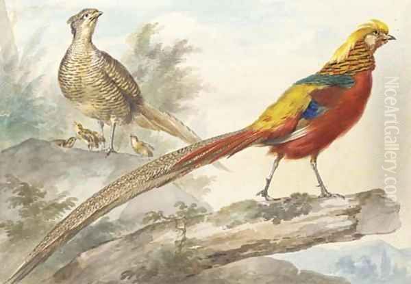 A Golden Pheasant standing on a log with a female pheasant and her chicks behind Oil Painting by Aert Schouman