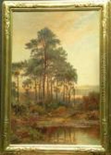 Pinewoods, Oxshot Oil Painting by Daniel Sherrin