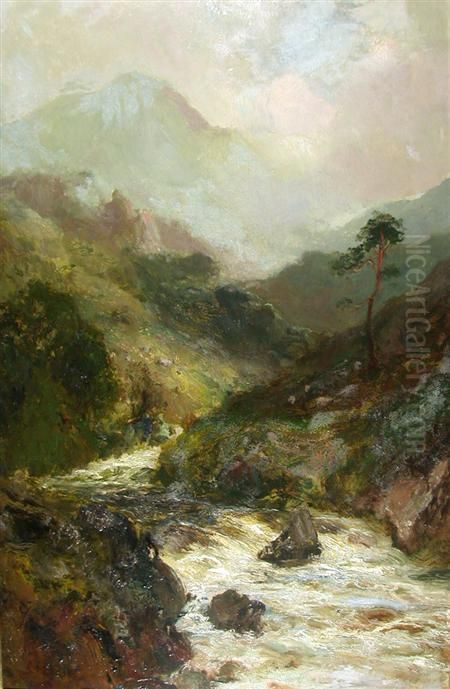 Sheep Grazing In The Highland Mist Oil Painting by John Falconar Slater