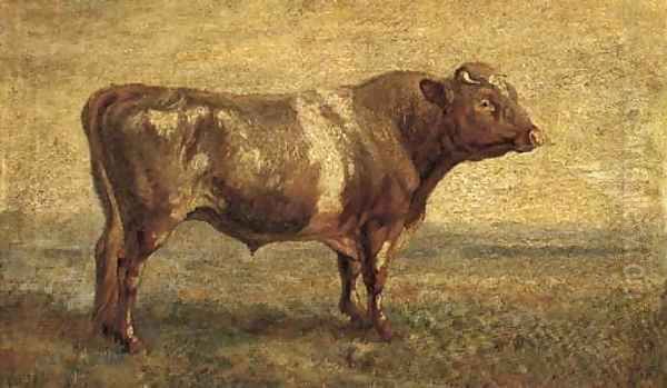 A bull in pasture Oil Painting by English School