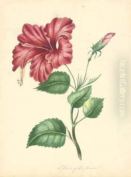 Flower Oil Painting by English School