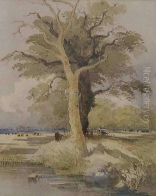 Cattle Beneath Trees Oil Painting by James Stark