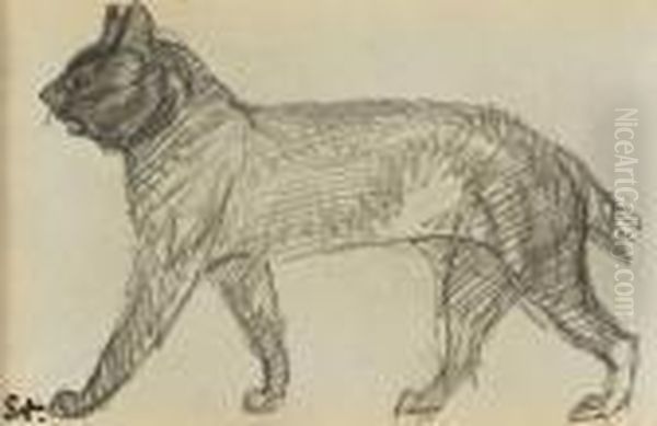 Douze Etudes De Felins Dans Un Porte-folio Provenant D'uncarnet 
Pierre Noire, Graphite Oil Painting by Theophile Alexandre Steinlen