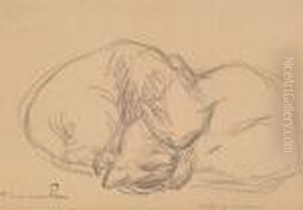 Chatons Jouant Oil Painting by Theophile Alexandre Steinlen