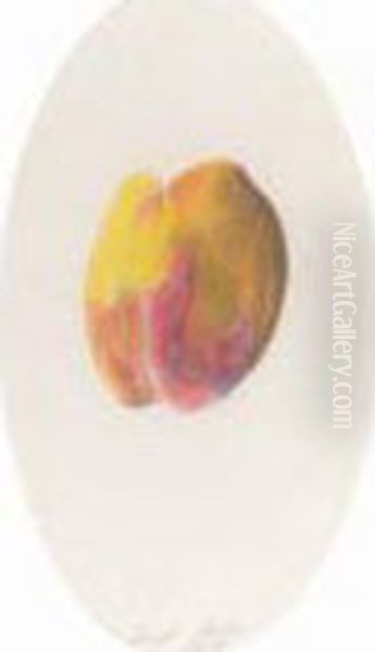 Peach Oil Painting by Joseph Stella