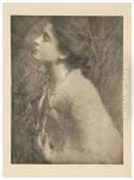 Selected Plates From 
Camera Work Oil Painting by Alfred Stieglitz