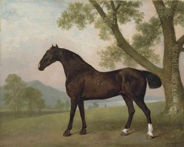 A Dark Bay Hunter Beside A Tree In An Extensive Landscape Oil Painting by George Stubbs