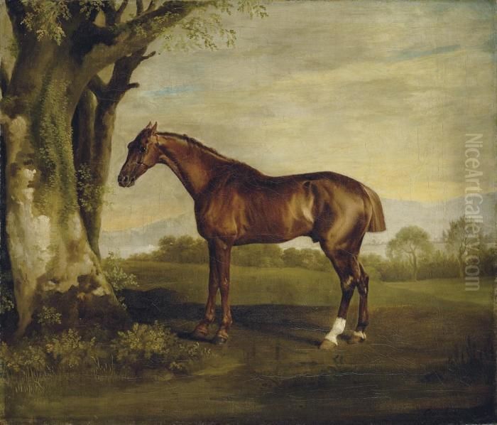 Antinous, A Chestnut Racehorse, In A Landscape Oil Painting by George Stubbs