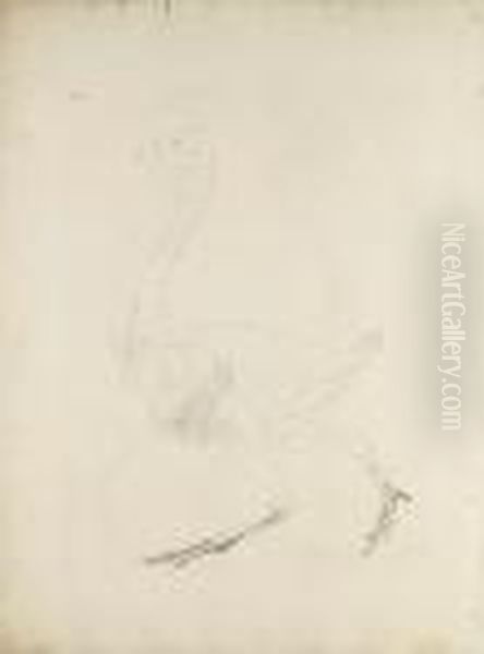 A Comparative Anatomical 
Exposition Of The Human Body With That Of A Tiger And A Common Fowl 
(lennox Boyd 189-218) Oil Painting by George Stubbs