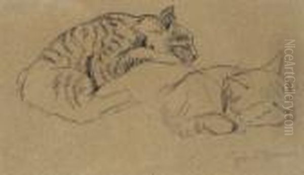 Studie Einer Schlafenden
 Katze. Oil Painting by Hans Thoma