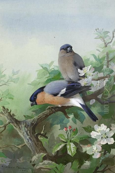 Bullfinches Oil Painting by Archibald Thorburn