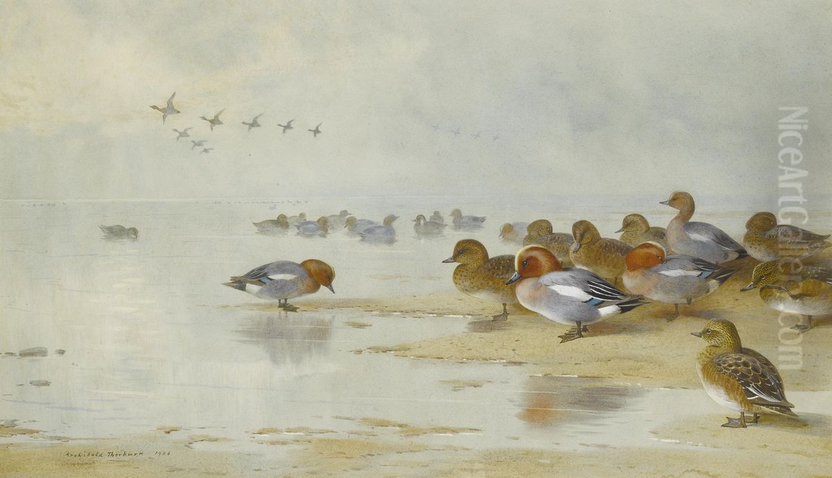Wigeon And Teal By The Water's Edge Oil Painting by Archibald Thorburn