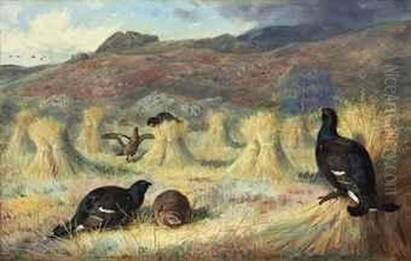 Three Blackcock And Two Grey 
Hens Amongst Corn Stooks, A Covey Ofgrouse Approaching, Achnamara, 
Argyll Oil Painting by Archibald Thorburn