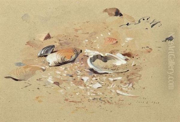 Sea Shells Oil Painting by Archibald Thorburn