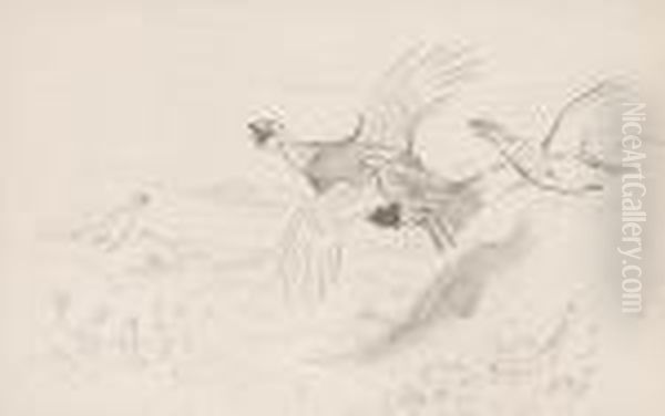 Each Signed With Initials 'a.t.' (lower Right), Pencil Oil Painting by Archibald Thorburn