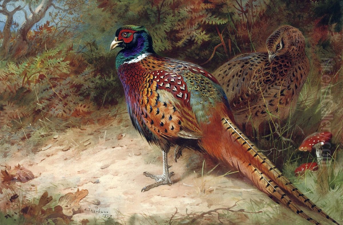 Cock And Hen Pheasant In The Undergrowth Oil Painting by Archibald Thorburn