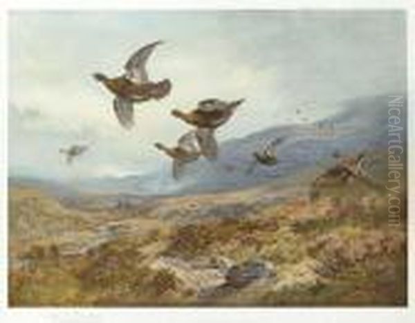 Grouse Oil Painting by Archibald Thorburn