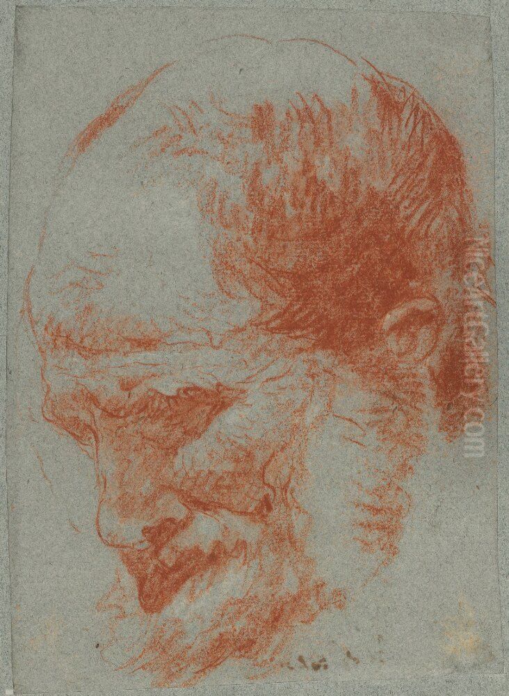 Head Of A Bearded Man Oil Painting by Giovanni Battista Tiepolo
