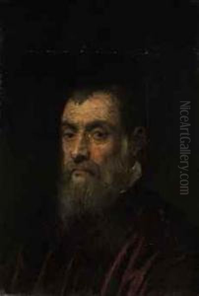 Portrait Of A Bearded Man, Bust-length, In A Red Gown Oil Painting by Jacopo Tintoretto (Robusti)