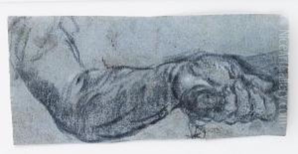 Study Of A Left Arm And Hand, Holding Akey Oil Painting by Jacopo Tintoretto (Robusti)
