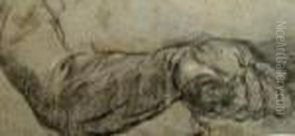 Study Of An Outstretched Arm Oil Painting by Jacopo Tintoretto (Robusti)