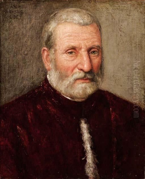 Ritratto Di Procuratore Veneziano Oil Painting by Jacopo Tintoretto (Robusti)