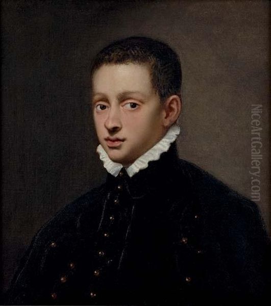 Portrait Of A Boy, Bust-length, In A Black Doublet With A White Collar Oil Painting by Jacopo Tintoretto (Robusti)