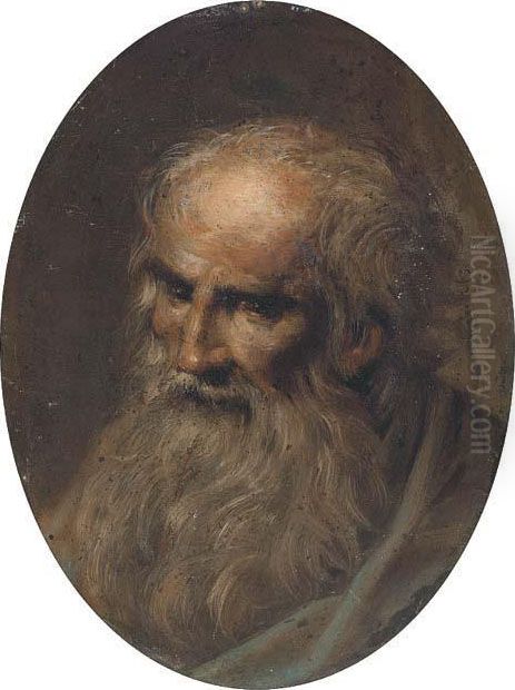 Head Of A Male Saint Oil Painting by Jacopo Tintoretto (Robusti)