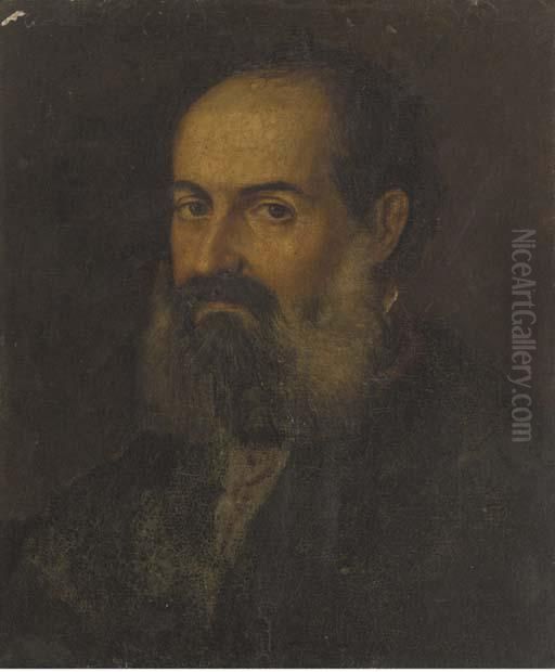 Portrait Of A Bearded Man, Bust-length Oil Painting by Jacopo Tintoretto (Robusti)