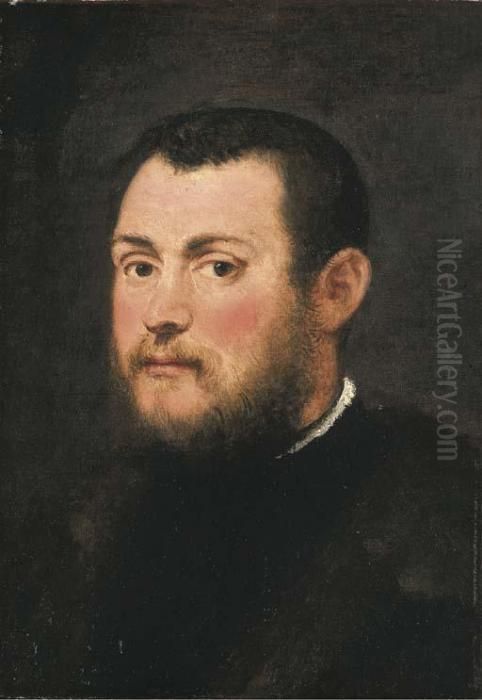 Portrait Of A Gentleman Oil Painting by Jacopo Tintoretto (Robusti)