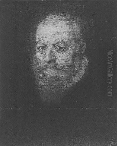 Portrait Of A Man Oil Painting by Jacopo Tintoretto (Robusti)