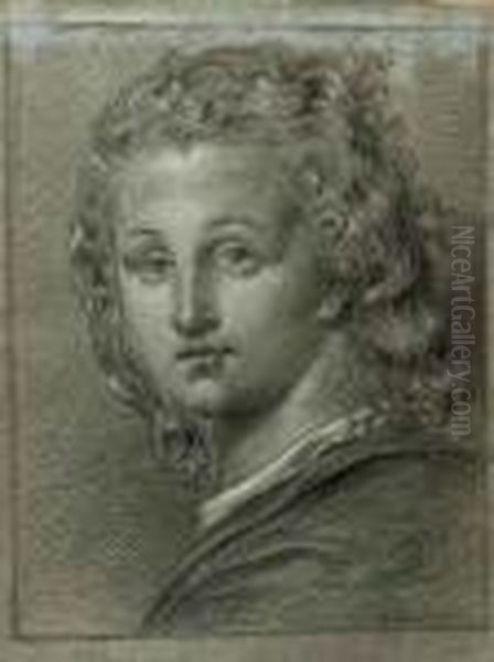 Portrait Of A Boy, Bust-length, In A Black Costume With A Whitecollar Oil Painting by Johann Heinrich The Elder Tischbein