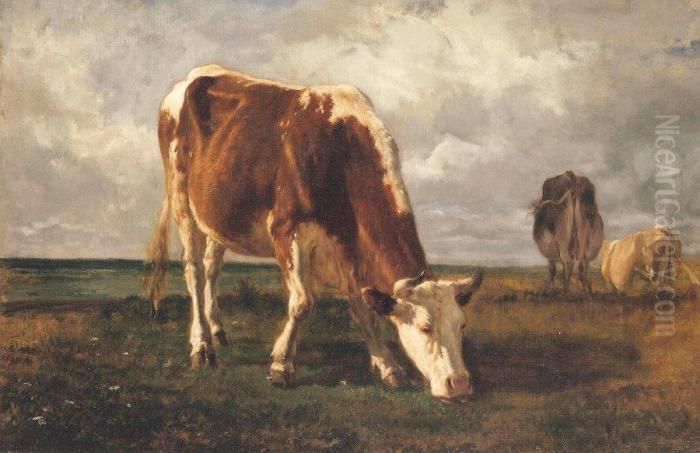 Vaches Au Paturage Oil Painting by Constant Troyon