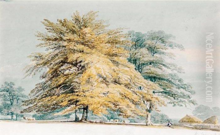 A Beech Copse Near Haystacks Oil Painting by Joseph Mallord William Turner