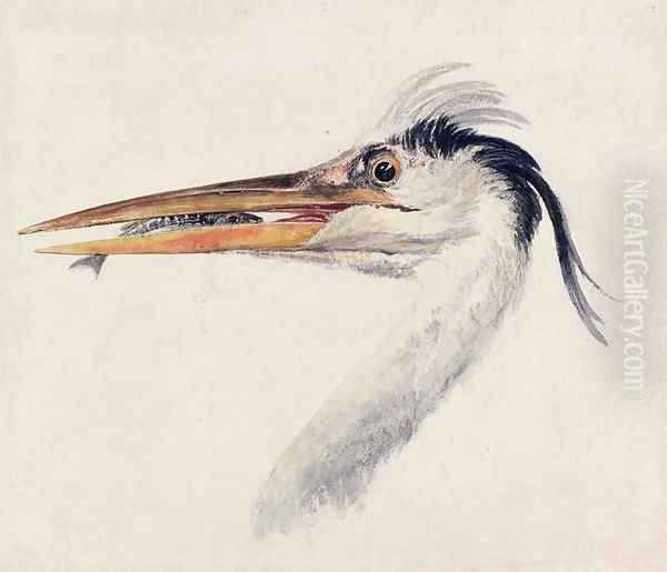 Heron with a fish Oil Painting by Joseph Mallord William Turner