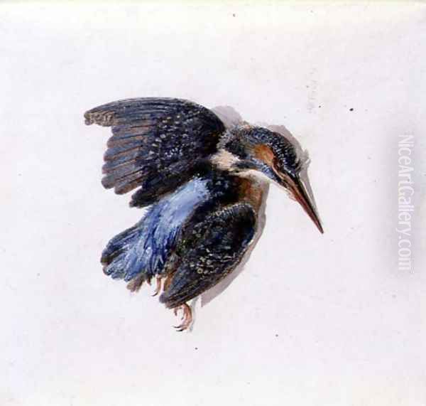 Kingfisher, from The Farnley Book of Birds, c.1816 Oil Painting by Joseph Mallord William Turner