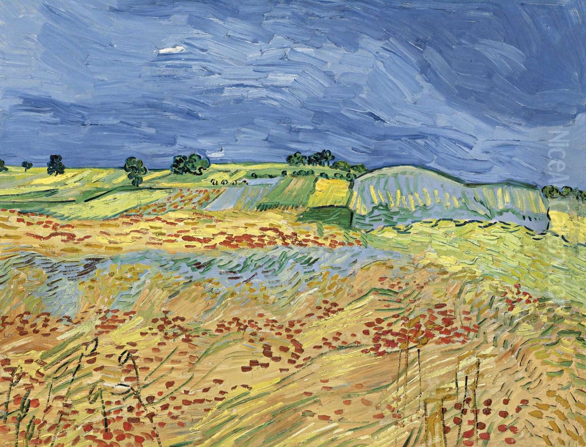 The Fields (wheat Fields) Oil Painting by Vincent Van Gogh