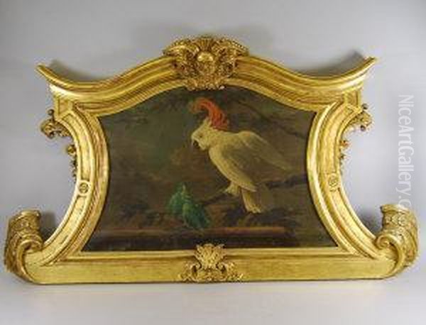 A Cockatoo And Two Parrots On A Branch Oil Painting by Jan van Kessel