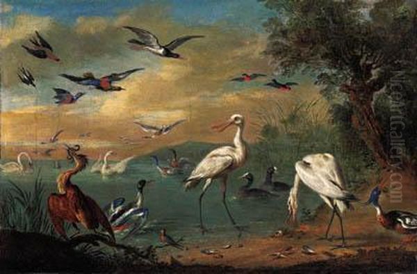 Two Spoonbills, A Heron, Swans, 
Moorhens, Bullfinches, Kingfishers,a Swallow And Other Birds In A 
Coastal Landscape; And Parrots, Aheron, Kingfishers And Other Birds In 
An Extensive Landscape Oil Painting by Jan van Kessel