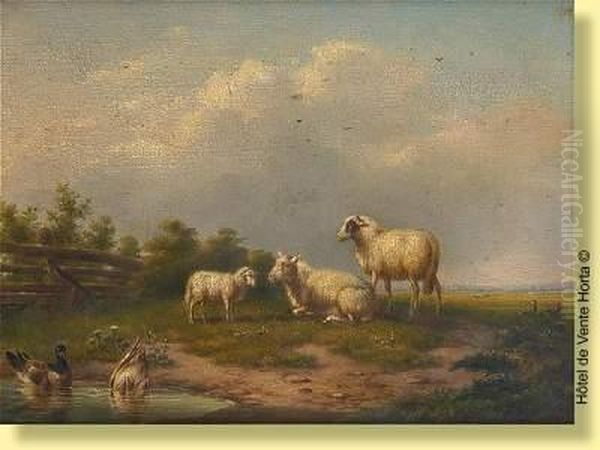 Moutons Et Canards Oil Painting by Franz van Severdonck