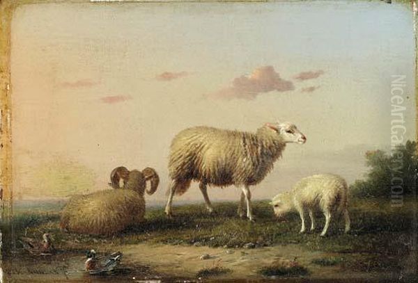 A Family Of Sheep
Oil On Panel Oil Painting by Franz van Severdonck