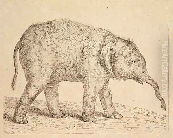 Elephant Oil Painting by Johann Heinrich Wilhelm Tischbein I