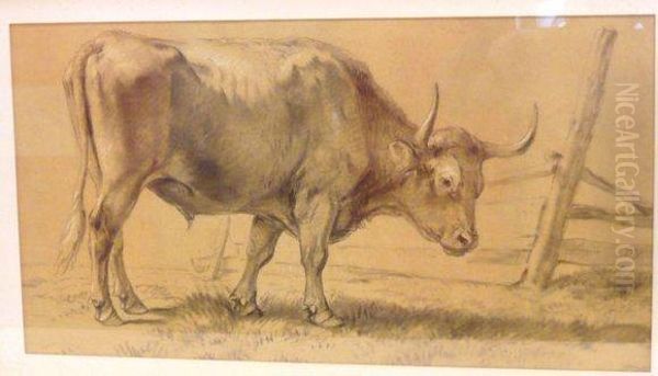 Taureau Au Pre Oil Painting by Eugene Joseph Verboeckhoven