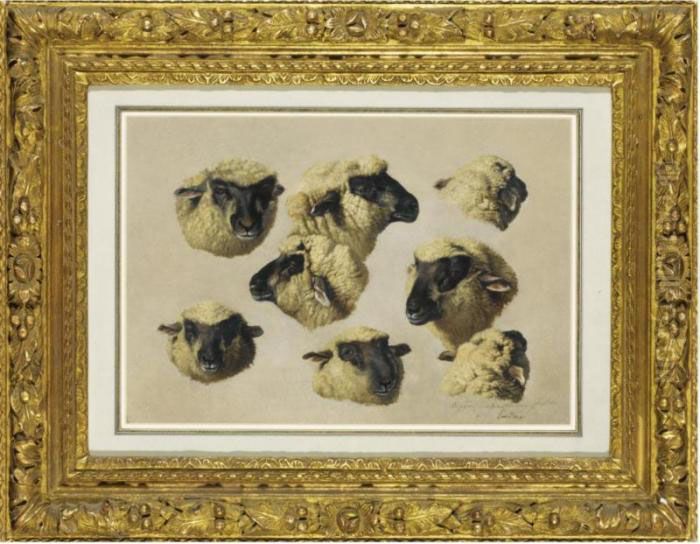 Studies Of Sheep Heads Oil Painting by Eugene Joseph Verboeckhoven