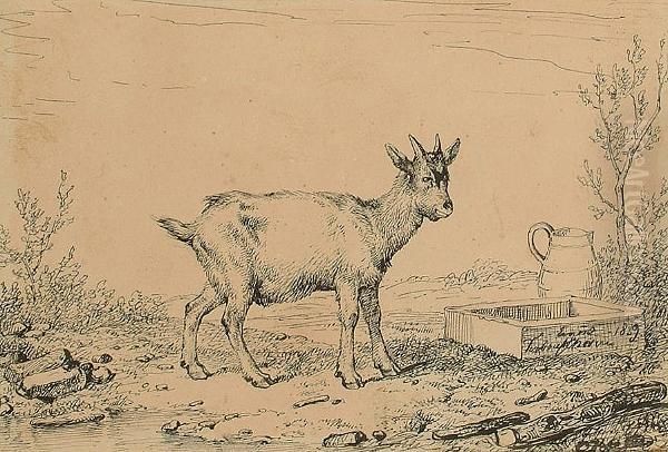 A Goat; A Donkey. Oil Painting by Eugene Joseph Verboeckhoven